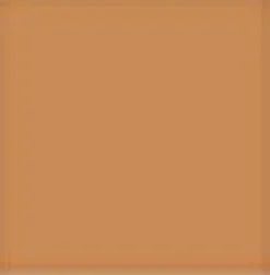 Feinstrumpfhose SILK mit Seide von Trasparenze