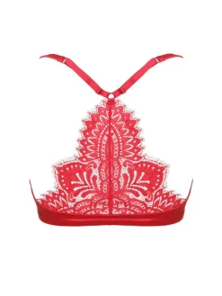 Push Up BH mit Spitzenrücken BLACK SWAN von Prelude Milano