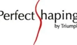 Retro Sensation BODYDRESS von Triumph figurformend silbergrau