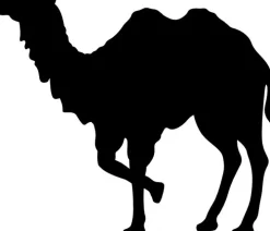 Sannwald KAIRO Kopfkissen waschbar mit Kamelhaar