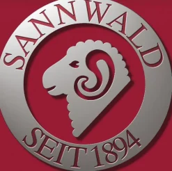 Sannwald KAIRO Kopfkissen waschbar mit Kamelhaar