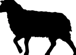 Sannwald Steppdecke mittelwarm ALPENTRAUM Schafwolle mit Zirbe