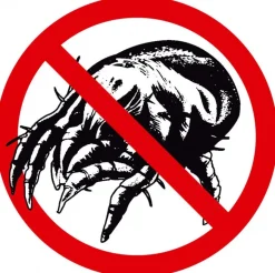 Sannwald Steppdecke mittelwarm ALPENTRAUM Schafwolle mit Zirbe