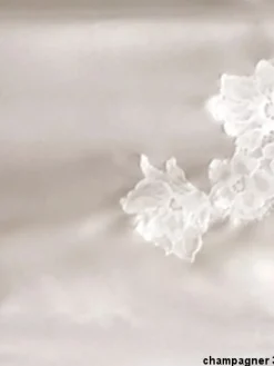 Seta Superior SHORTS mit Seide Eroico von Cotton Club