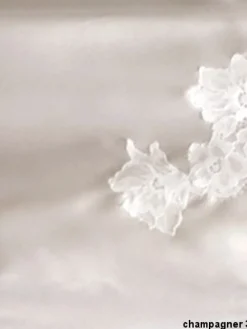 Seta Superior Top PRIMARIO mit Stretchseide von Cotton Club