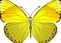 Sommer Seidendecke SILK DREAM SD 100% Wildseide von Hefel