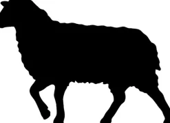 Vierjahreszeiten-Bettdecke mit Schafwolle von Sannwell